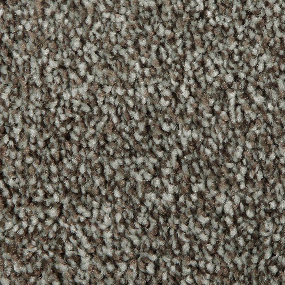 Mohawk Distinct Beauty I Carpet Flooring