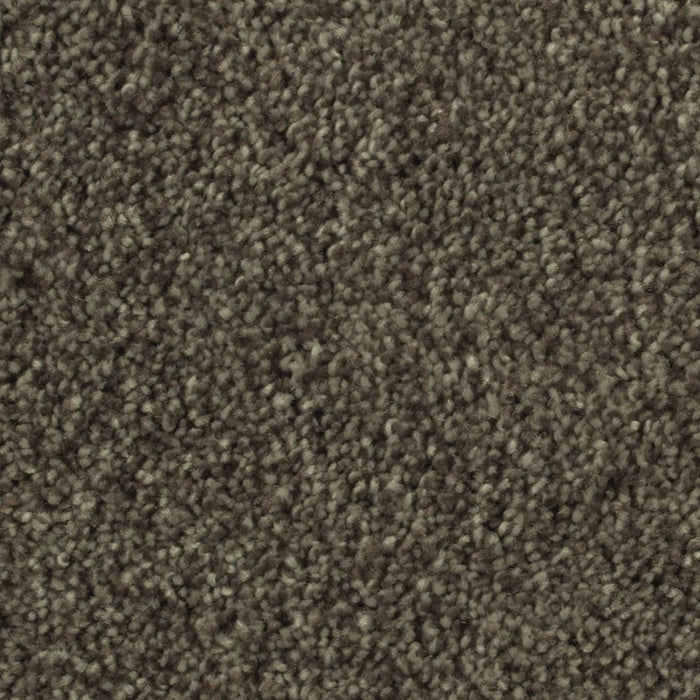 Mohawk Distinct Beauty III Carpet Flooring