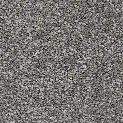 Noteworthy Selection in Alden Charcoal Carpet