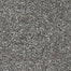 Noteworthy Selection in Alden Charcoal Carpet