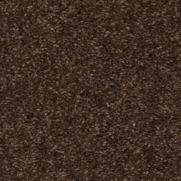 Dark Fudge