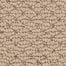 Mohawk Tailored Essence Carpet Flooring