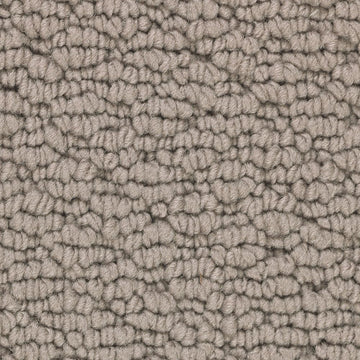 Moth Wing