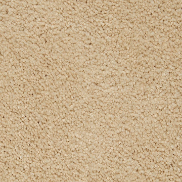 Fine Vellum