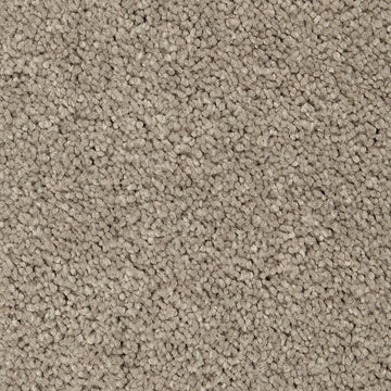 Faint Maple