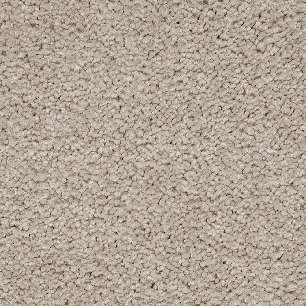 Mohawk Gentle Approach Carpet Flooring