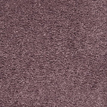 Winter Amethyst