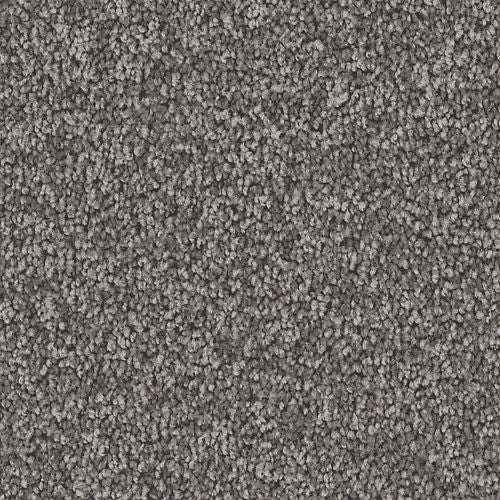 Exceptional Choice in Alden Charcoal Carpet