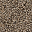 Mohawk Color Fusion I Carpet Flooring