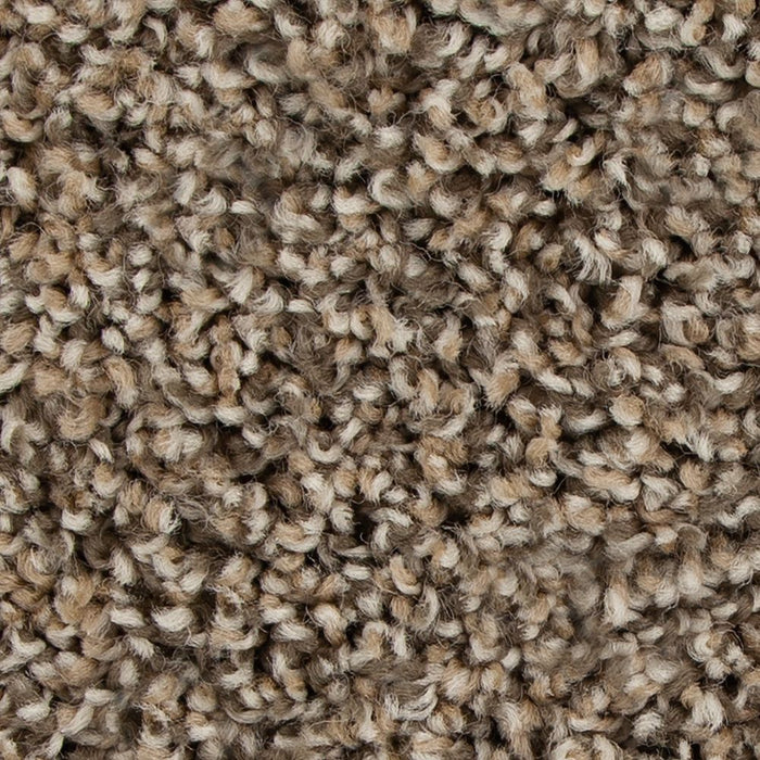 Mohawk Color Fusion I Carpet Flooring