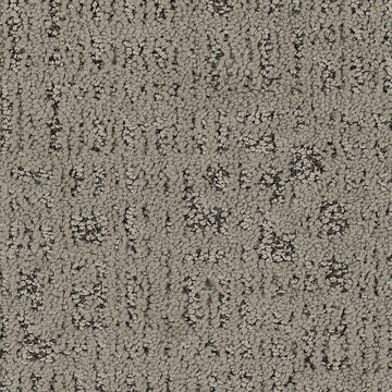 Moonlit Grey