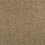 Karastan Remarkable Grace Carpet Flooring