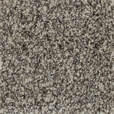 Karastan Ideal Vision Carpet Flooring
