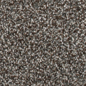 Universal Umber