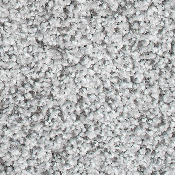 January Frost