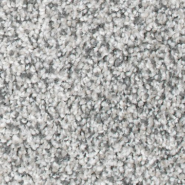 Faint Maple
