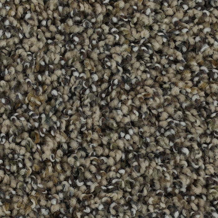 Mohawk Captivating Outlook Carpet Flooring