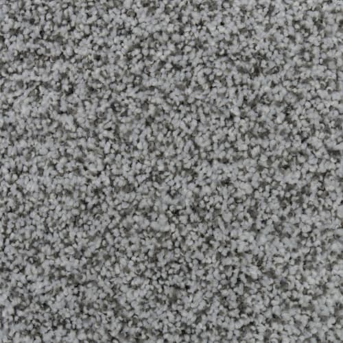 Magnetic Beauty in Alpine Carpet