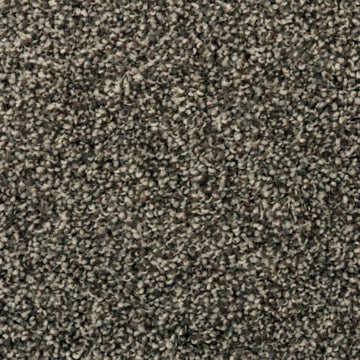 Universal Umber
