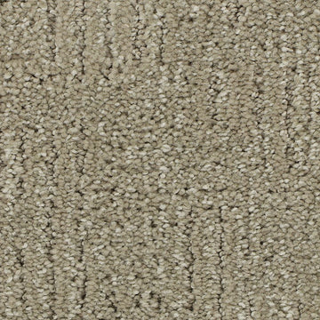Coastal Dune