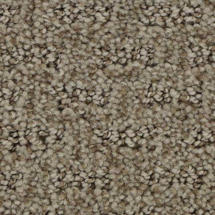 Mohawk Stylish Tones Carpet Flooring