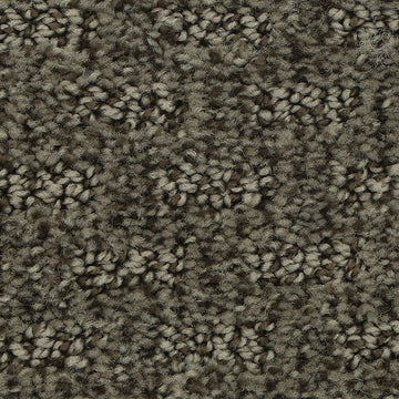 Rock Garden