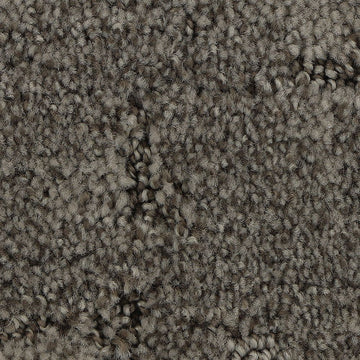 Oyster