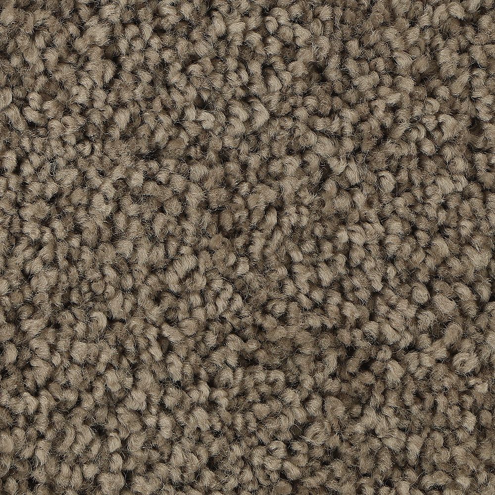 Mohawk Soft Outlook Carpet Flooring