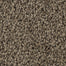 Mohawk Soft Outlook Carpet Flooring