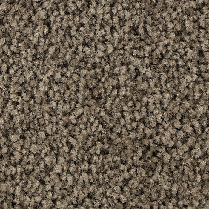 Mohawk Soft Outlook Carpet Flooring