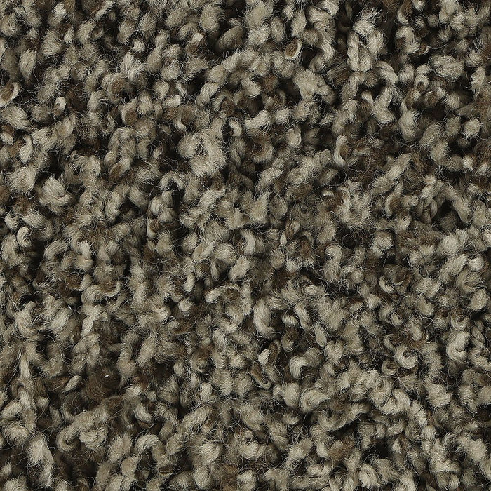 Mohawk Soft Aspect Carpet Flooring