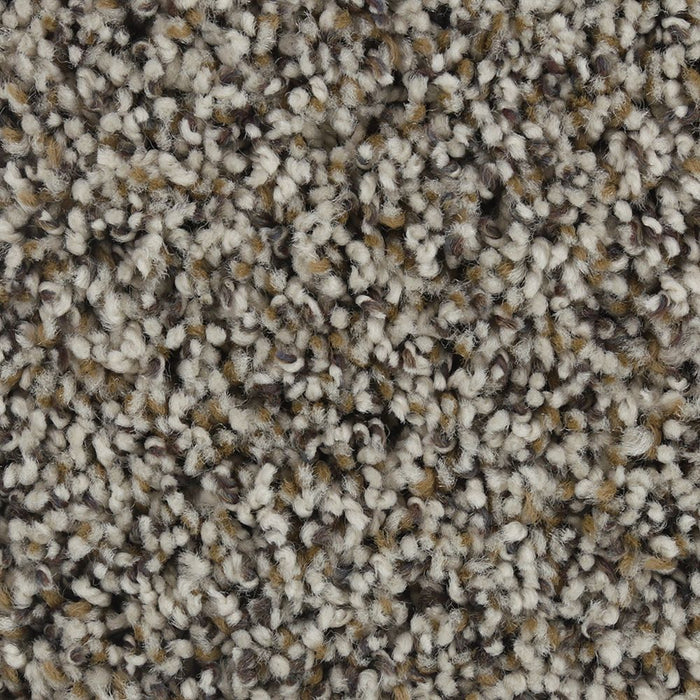 Mohawk Graceful Harmony I Carpet Flooring