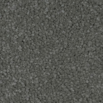Porpoise
