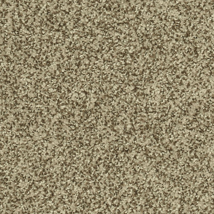 Karastan Modern View Carpet Flooring