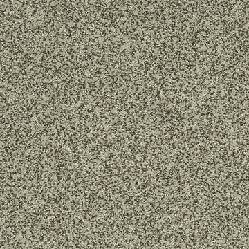 Forum Grey