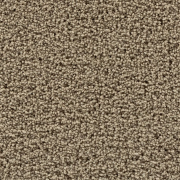 Peanut Shell