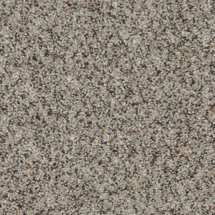 Karastan Ambassador Timeless Optimism Carpet Flooring