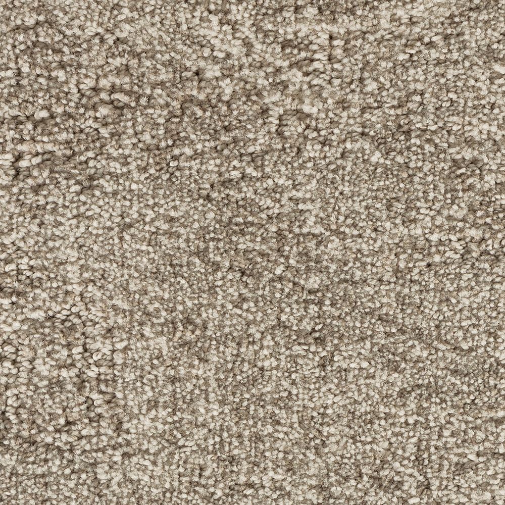 Karastan Intriguing Allure Carpet Flooring