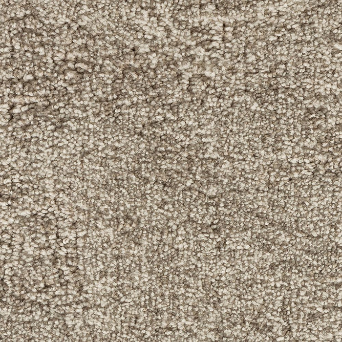 Karastan Intriguing Allure Carpet Flooring