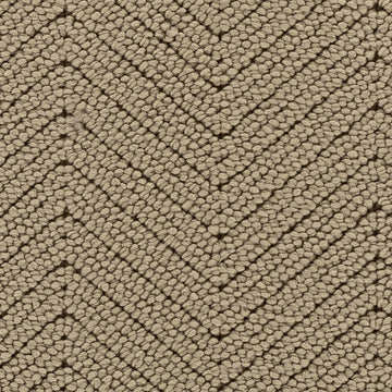 Warmest Beige