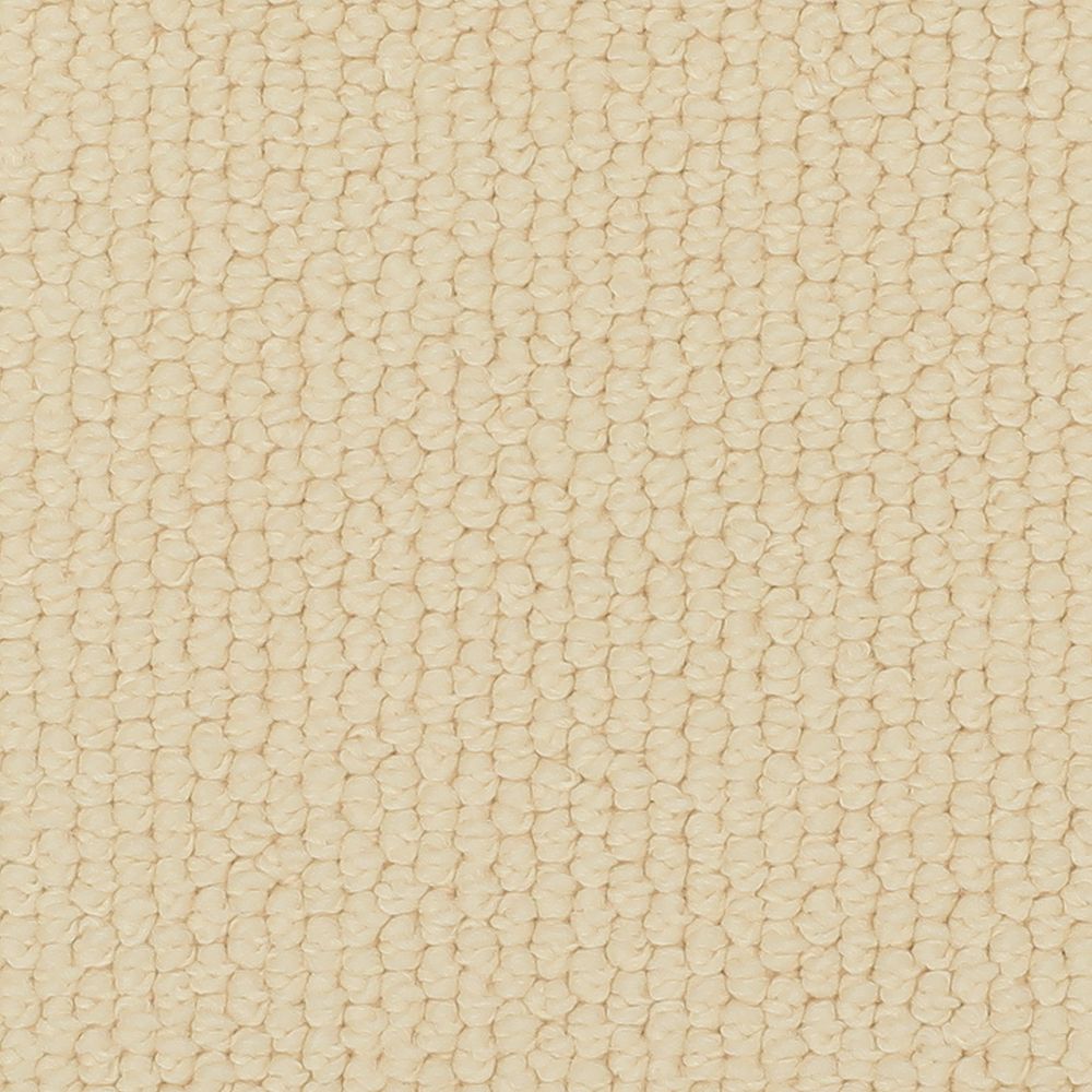 Karastan Nouveau Classic Carpet Flooring
