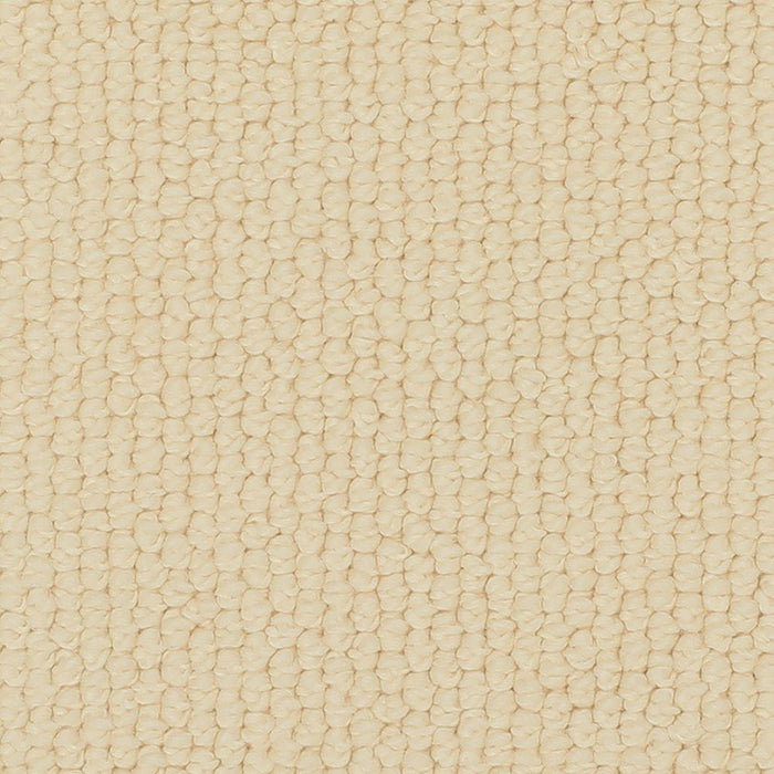 Karastan Nouveau Classic Carpet Flooring