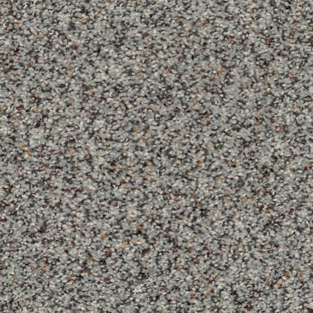 Karastan Instinctive Taste Carpet Flooring