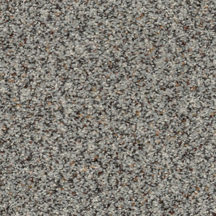 Karastan Instinctive Taste Carpet Flooring