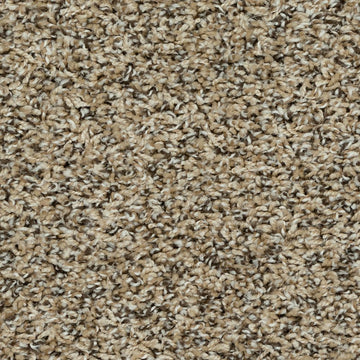 Sesame