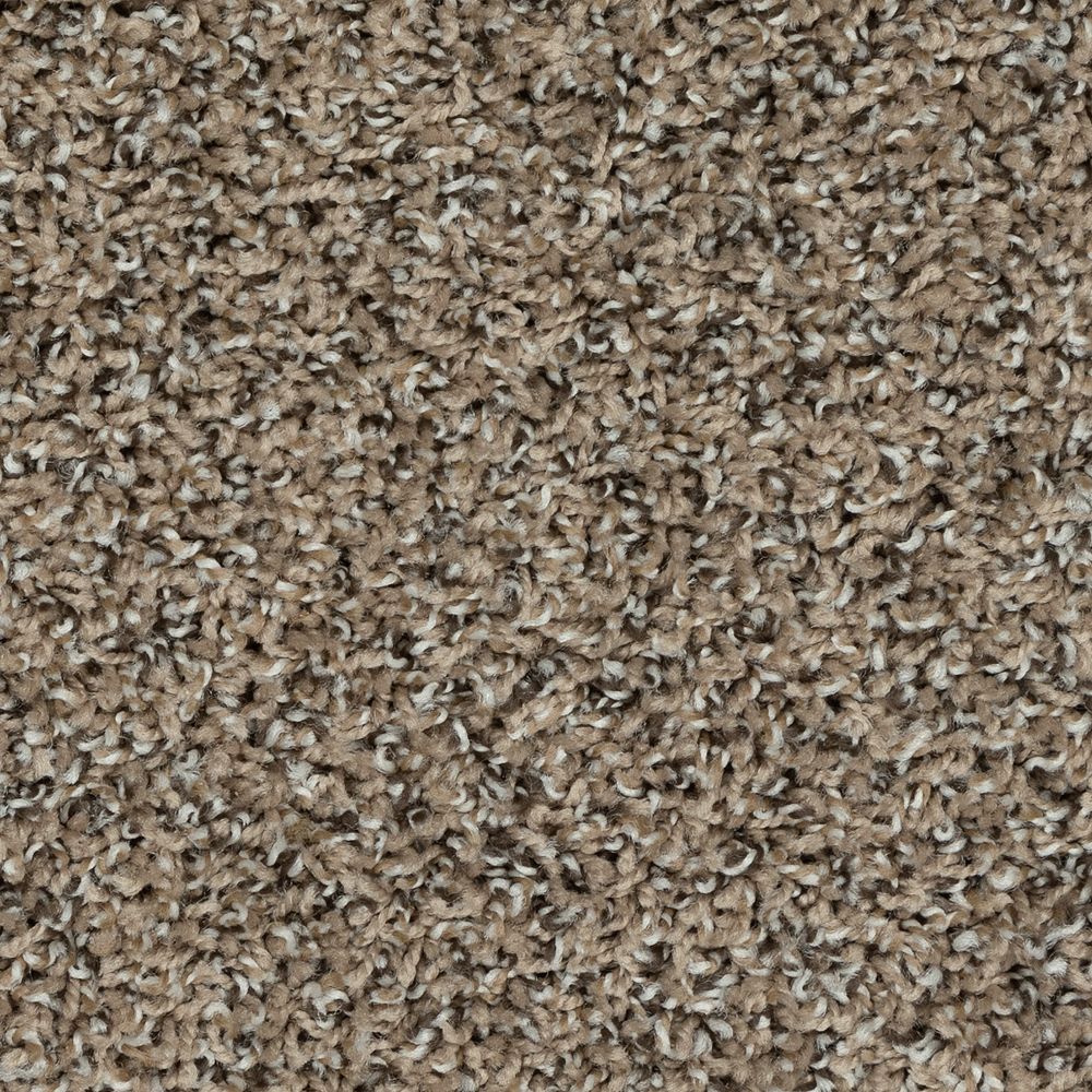 Mohawk Roll With It Carpet Flooring