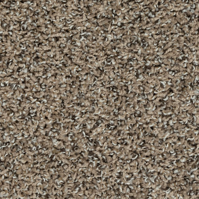 Mohawk Roll With It Carpet Flooring