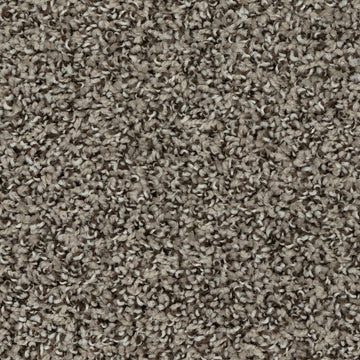 Fossil