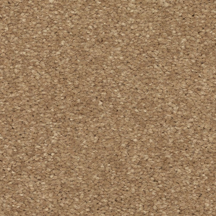 Mohawk Lakewood Drive I Carpet Flooring