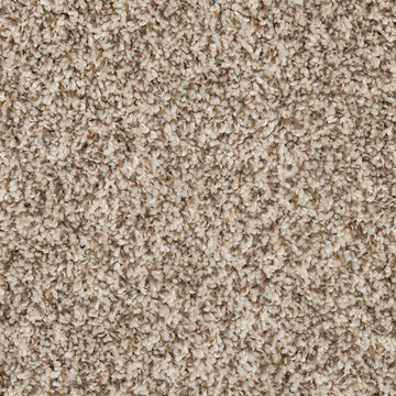 Elk Beige